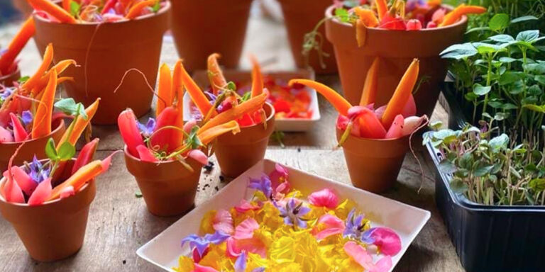 L'atelier potager proposé par le traiteur créatif ADQUAT